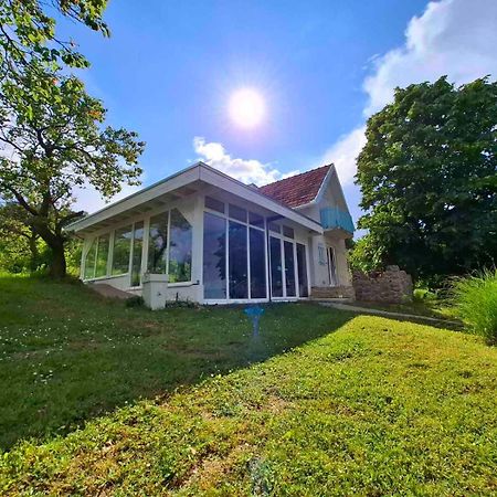 Honey Hill Apartment Fruska Gora Cerevic Buitenkant foto