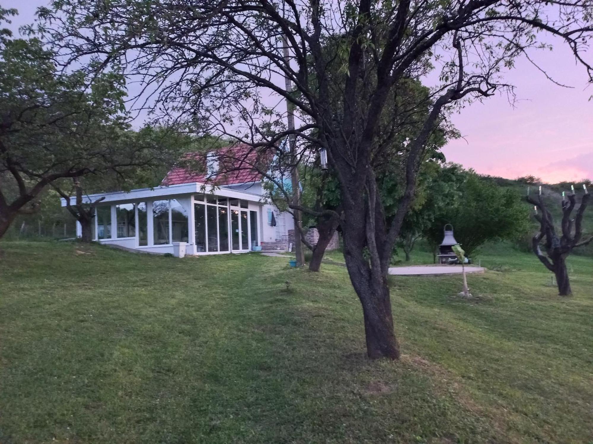 Honey Hill Apartment Fruska Gora Cerevic Buitenkant foto